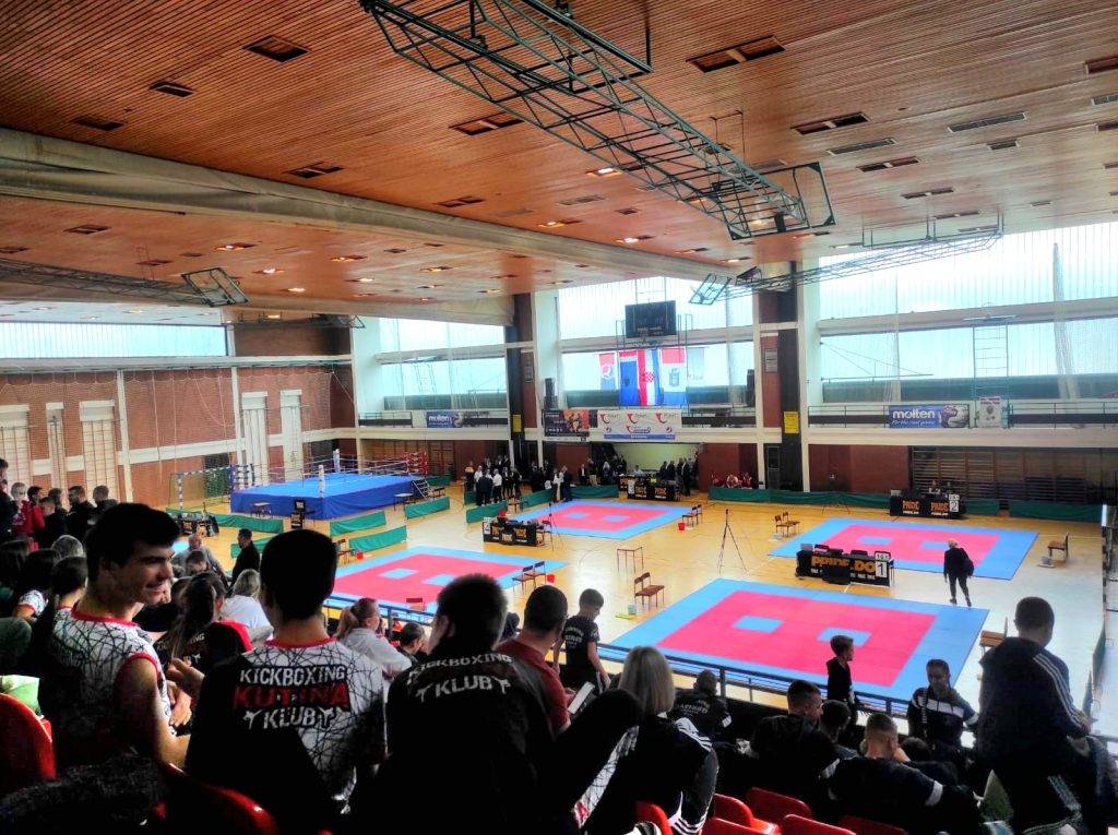 Kickboxing klub Borac Požega nastupio na internacionalnom kupu, Borna Soukup zlato u K-1!