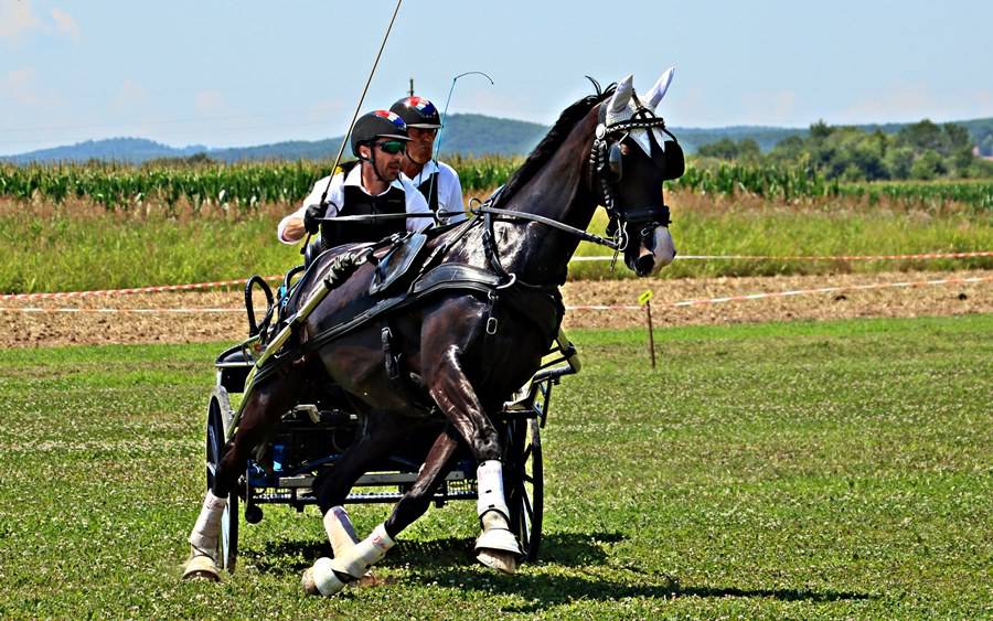 Foto: U Pleternici održan trodnevni konjički spektakl